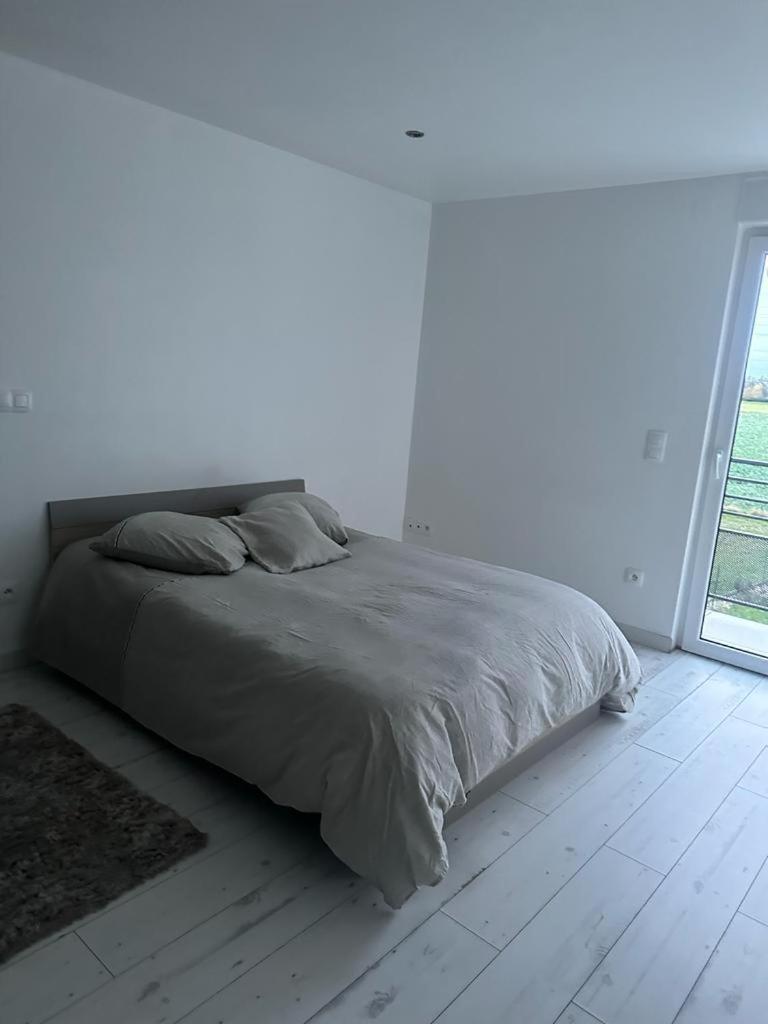Residence Foch リンゴルスハイム エクステリア 写真
